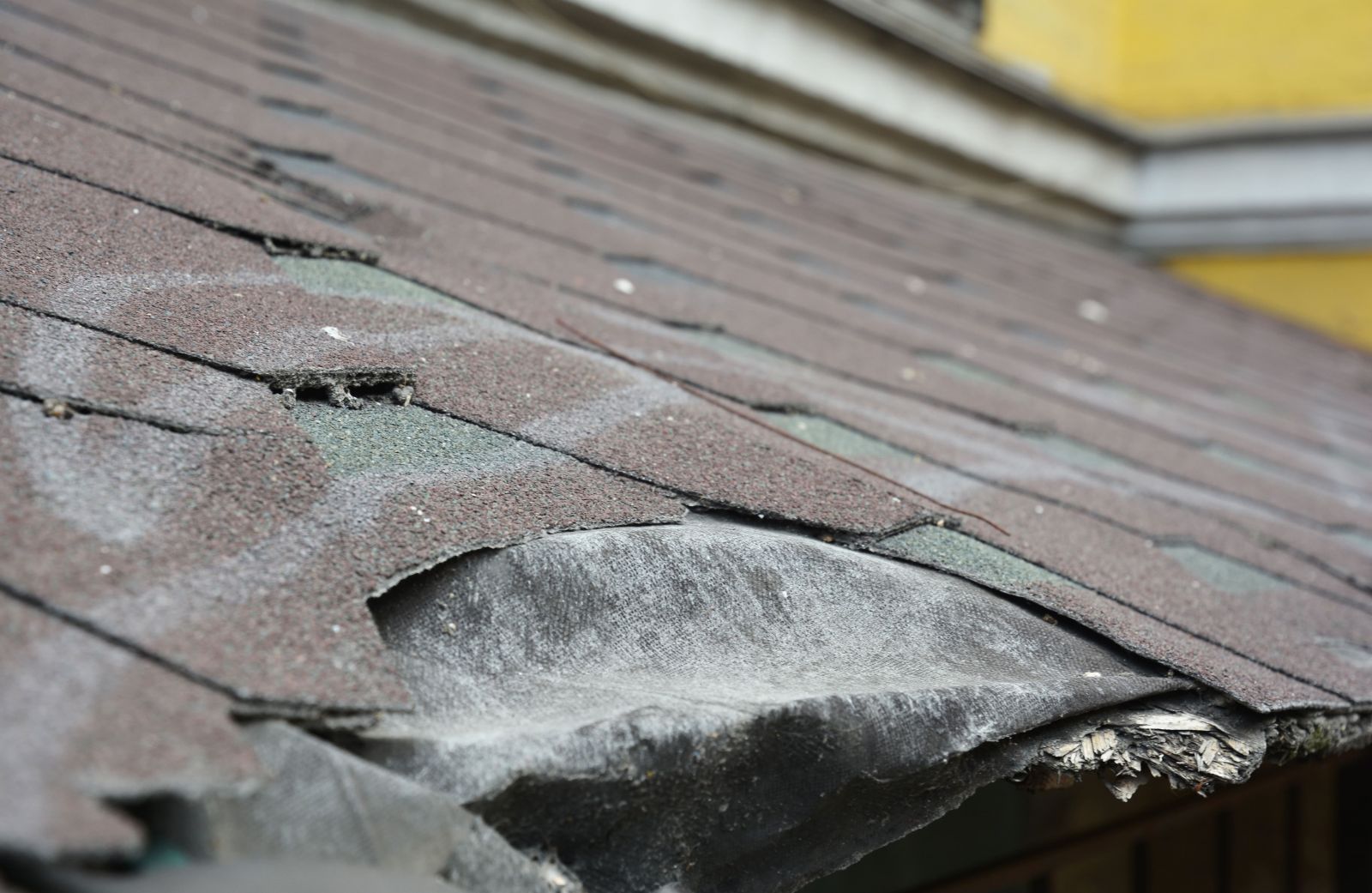 Utah Elite Roofing Images