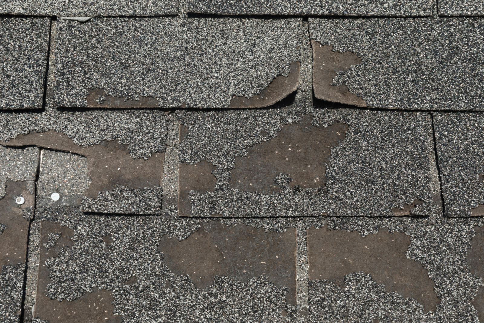 Utah Elite Roofing Images